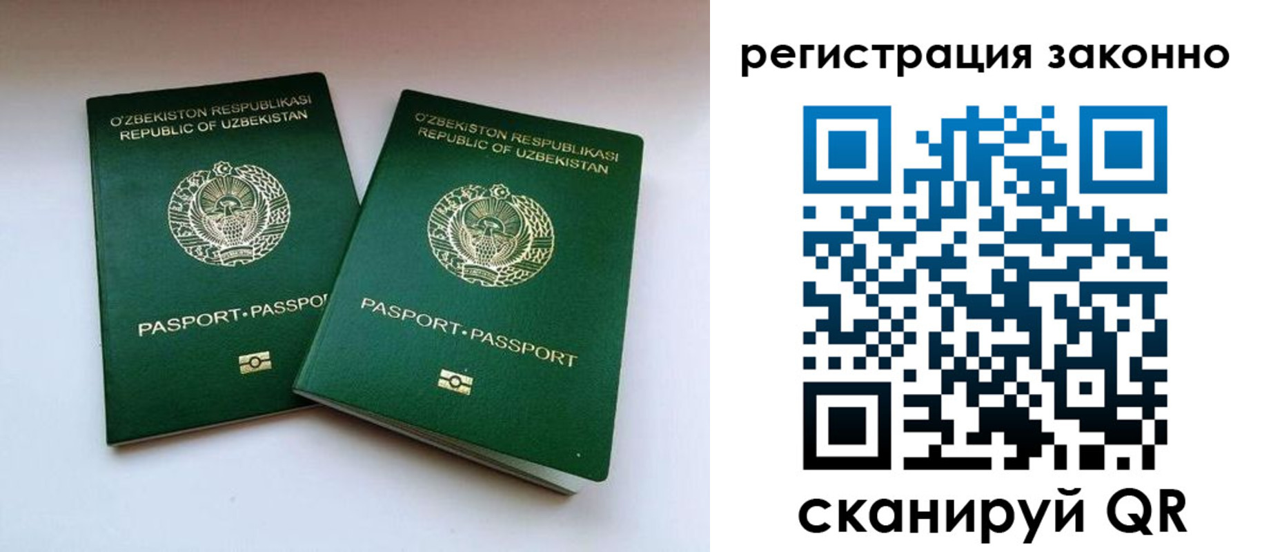 прописка гарантия в Славгороде